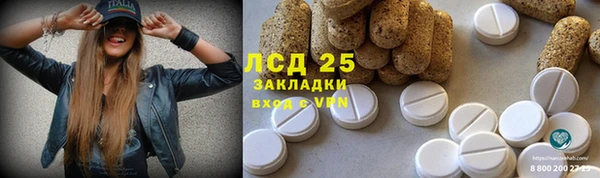 ПСИЛОЦИБИНОВЫЕ ГРИБЫ Пестово