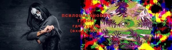 ПСИЛОЦИБИНОВЫЕ ГРИБЫ Пестово