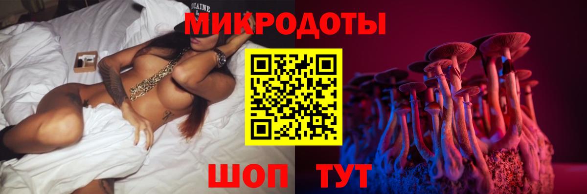 Вольск  Галлюциногенные грибы прущие грибы  Вход с VPN  магазин    Псилоцибиновые грибы Psilocybe 