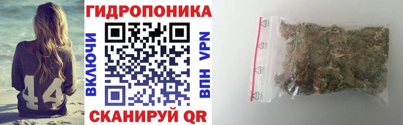 KRAKEN зеркало  Вольск  Марихуана Bruce Banner 