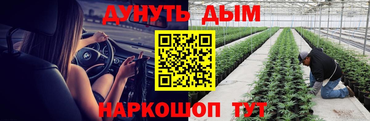 Бошки марихуана Ganja Вольск